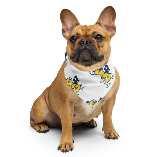 Fighting Knight Bandana