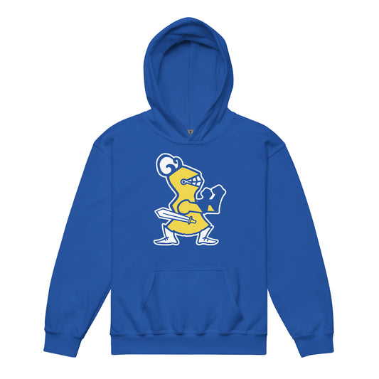 Youth Fighting Knight Hoodie